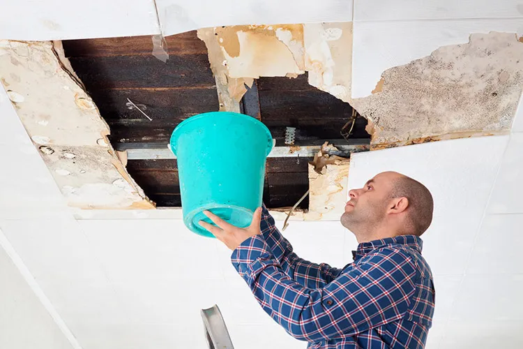 Устранение протечек в Московской области